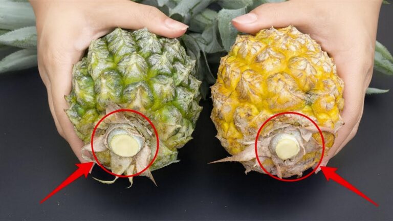Diese einfache Methode zeigt dir sofort, wie du reife Ananas erkennst…