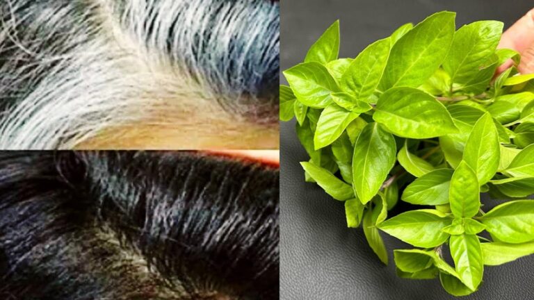Dieser vergessene Trick lässt graue Haare in wenigen Wochen natürlich erstrahlen…