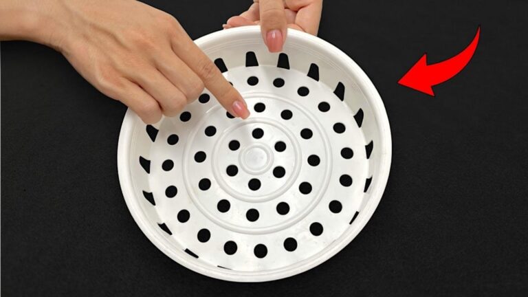 Dieser einfache Trick verwandelt deinen Reiskocher in ein wahres Küchentalent …