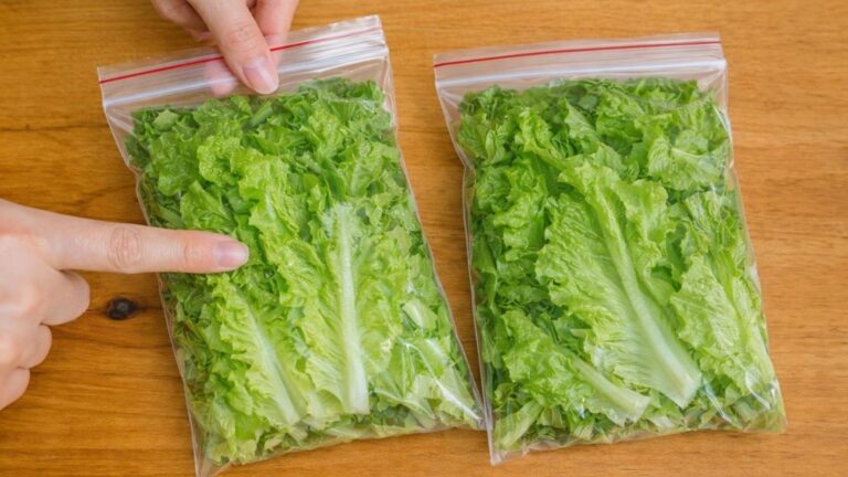 Dieser einfache Trick hält deinen Salat Wochen frisch, knackig und grün … entdecke wie!