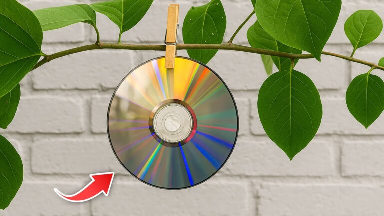 14 geniale Home Hacks, die dein Leben sofort verändern werden!