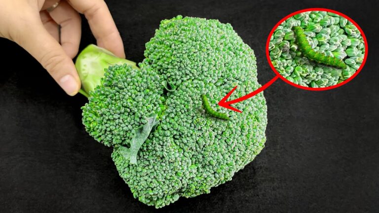 14 geniale Küchentricks, die dein Kochen revolutionieren werden!