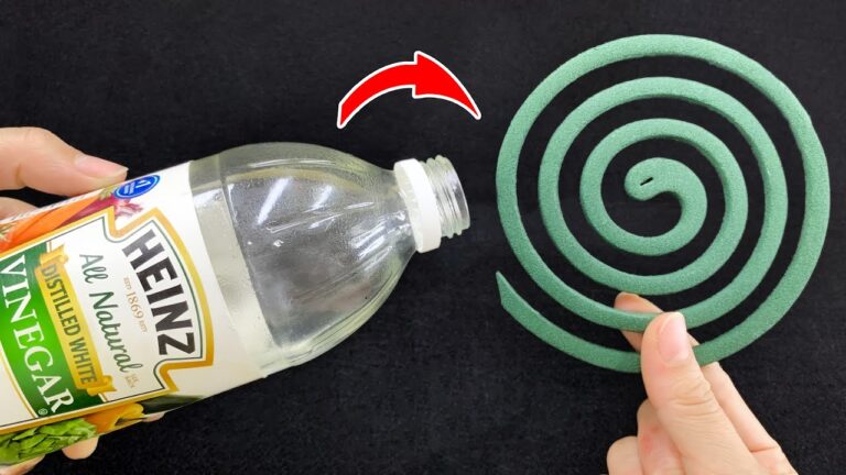 25 geniale Tipps für dein Zuhause, die du sofort umsetzen solltest!