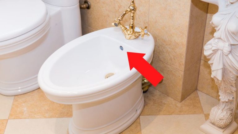 Der versteckte Nutzen des zweiten Lochs im Bidet – das wissen die wenigsten