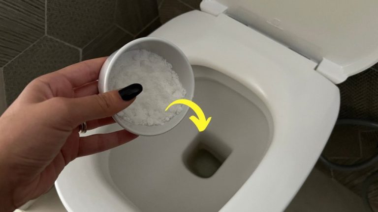Frische und duftende Toiletten: Das stärkste natürliche Mittel