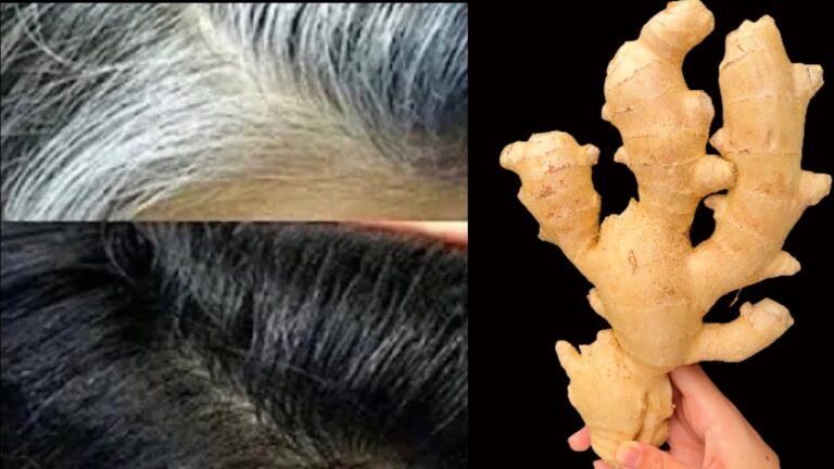 6 erstaunliche Vorteile von Ingweröl für dichten Haarwuchs mit 65+ Jahren entdecken!
