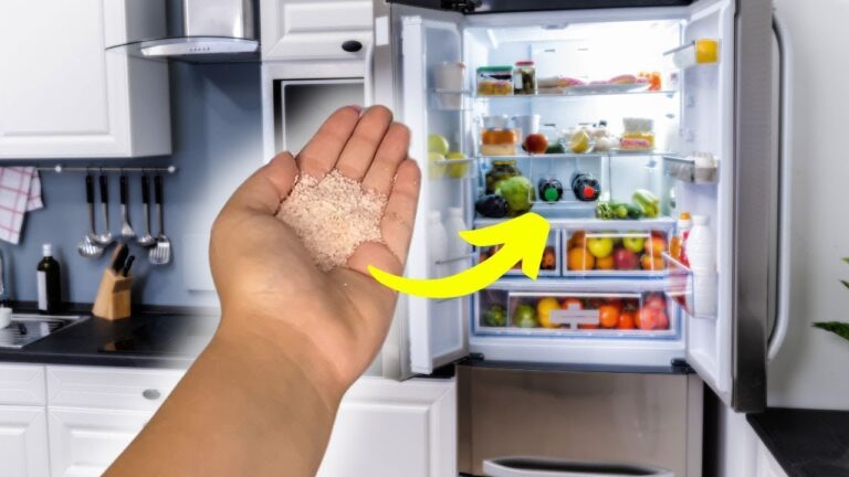 7 geniale Tipps, wie du mit Salz Probleme im Kühlschrank vermeidest!