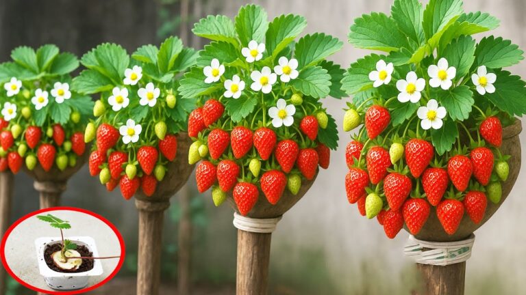 10 Schritte zum vertikalen Garten: So wachsen leckere Erdbeeren in Plastikflaschen!