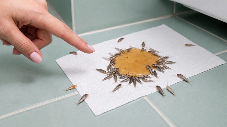 Silberfischchen in deinem Badezimmer? Dieser wenig bekannte Hausmittel-Trick vertreibt sie
