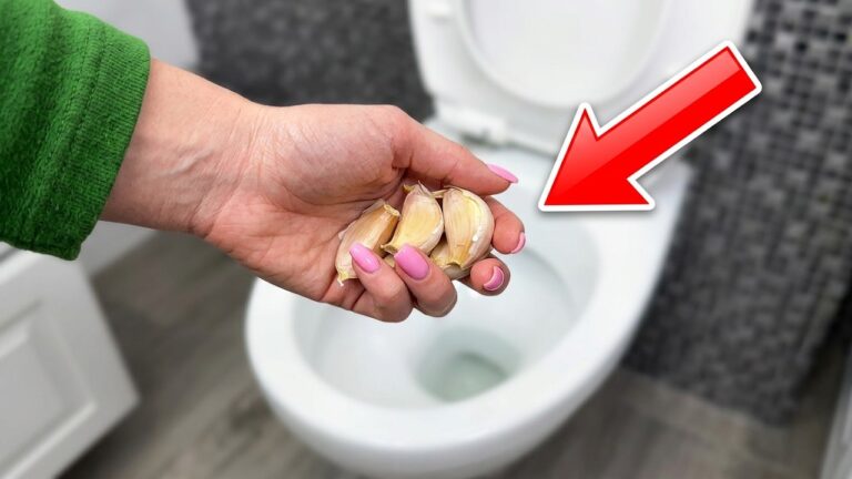 Eine Nacht genügt – am Morgen glänzt die Toilette ohne Schrubben