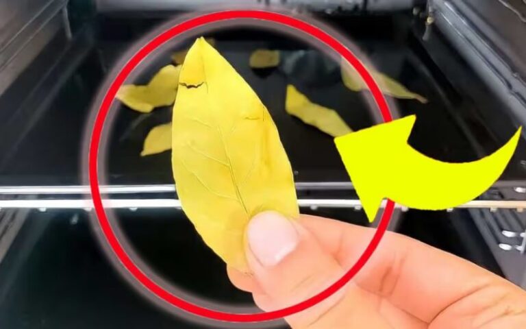 Lorbeerblätter im Backofen: Warum sie Gold wert sein sollen!