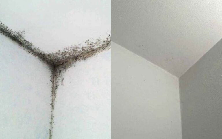 Ein dauerhaft wirksamer Trick gegen Schimmel im Badezimmer!