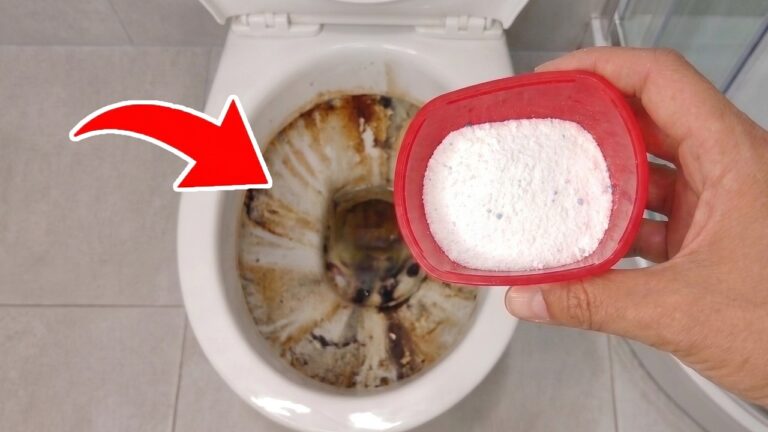 It’s Incredible! Pour THIS Powder Into the TOILET and See What Happens
