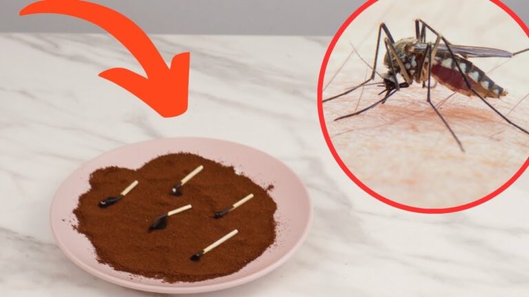 Get Rid of Mosquitoes in One Minute! This Balcony and Patio Trick Works Immediately!