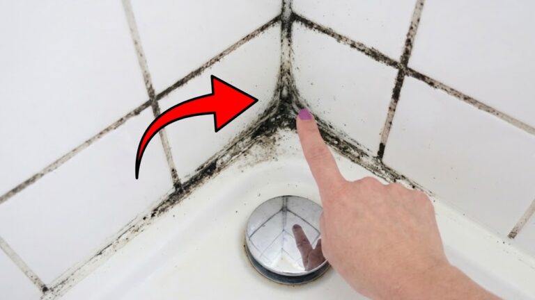 Mold on the Grout? This Simple Trick Helps Remove It Quickly!