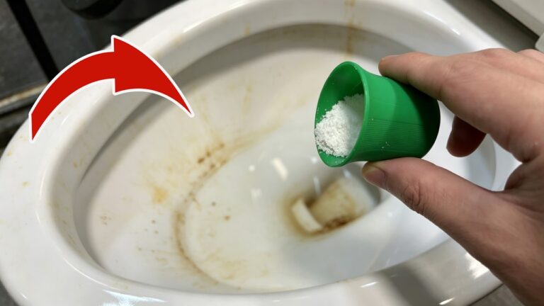 Après l’avoir UTILISÉ, vous ne voudrez PLUS JAMAIS de nettoyant WC ! 💥 (PRATIQUE) 🤯