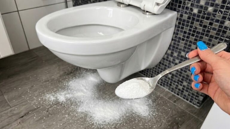 Saupoudrez ceci autour des toilettes et attendez quelques heures pour réduire l’humidité