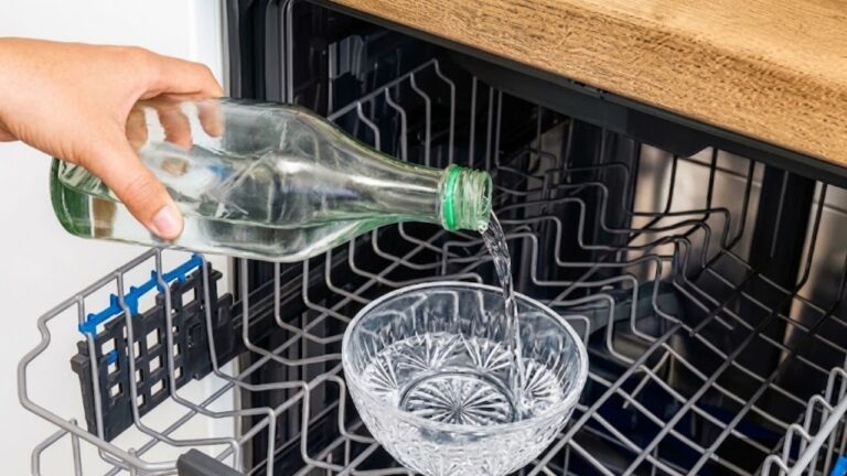 Une astuce de technicien pour le lave-vaisselle, à faire une fois par mois