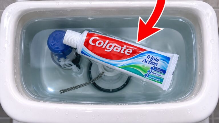 Deshalb gebe ich Zahnpasta in den Toilettentank und nicht in die Schüssel