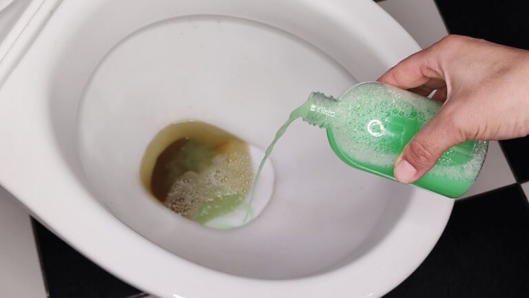 Gieß das in die Toilette und sie wird perfekt sauber. Das Ergebnis ist verblüffend!
