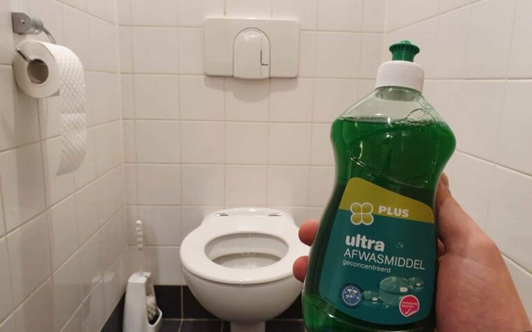 Darum solltest du Waschmittel in deine Toilette geben!