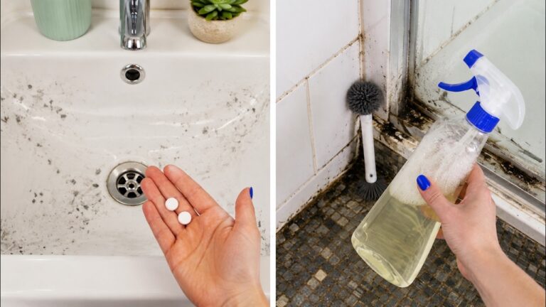 Essig, Aspirin, Salz und Honig: Abflüsse frei machen, Schimmel entfernen und loswerden…